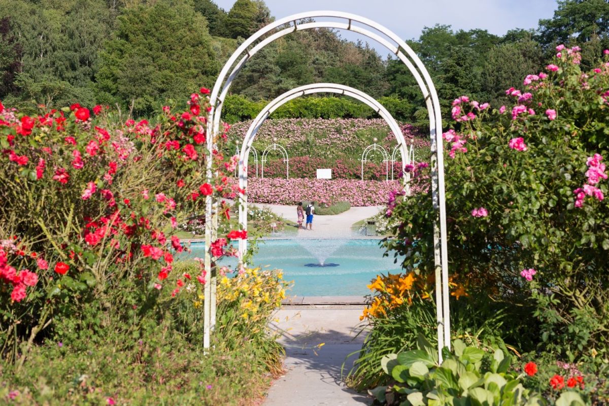 Parc de la Colline aux oiseaux, Caen - Normandie
