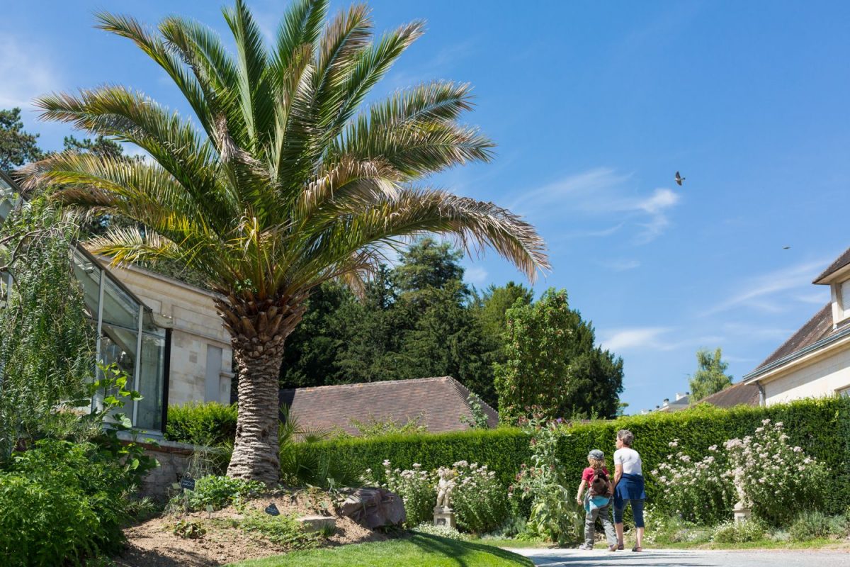 Le jardin des plantes à Caen