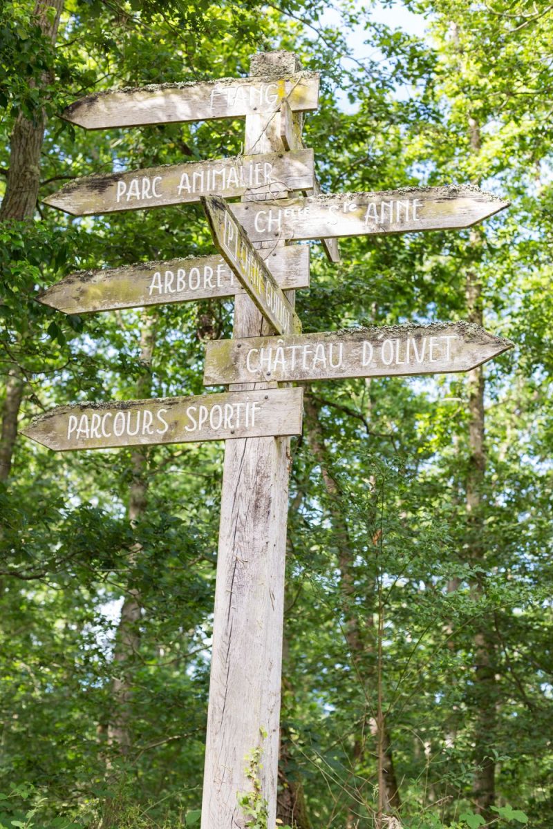 Découvrir la forêt de Grimbosq