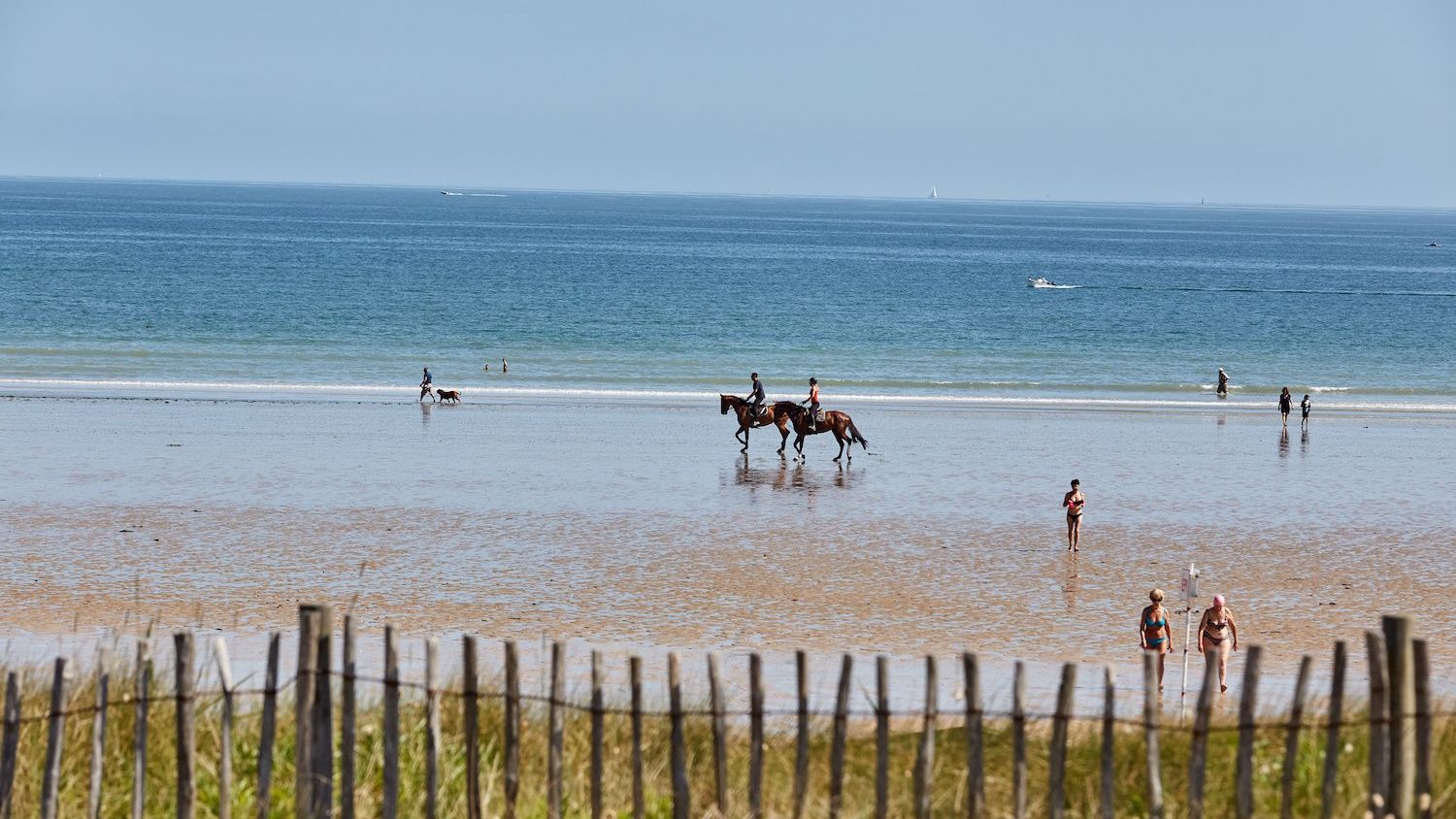 lion_hermanville_colleville-sur-mer_2017_fabienmahaut_61