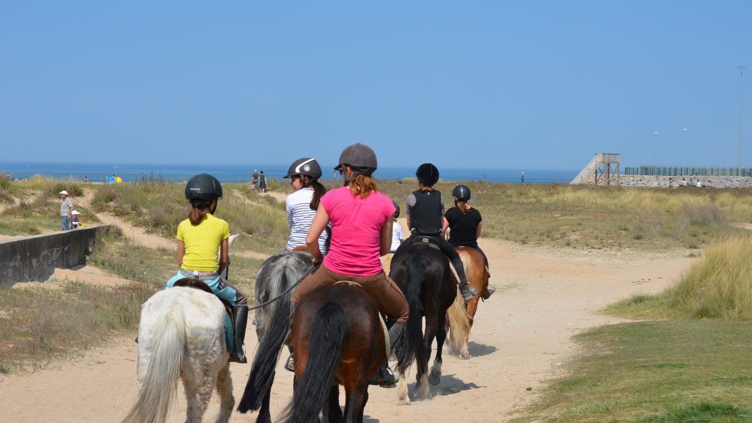 All leisure activities