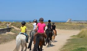 All leisure activities