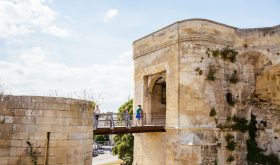 Sites, museum and places to visit