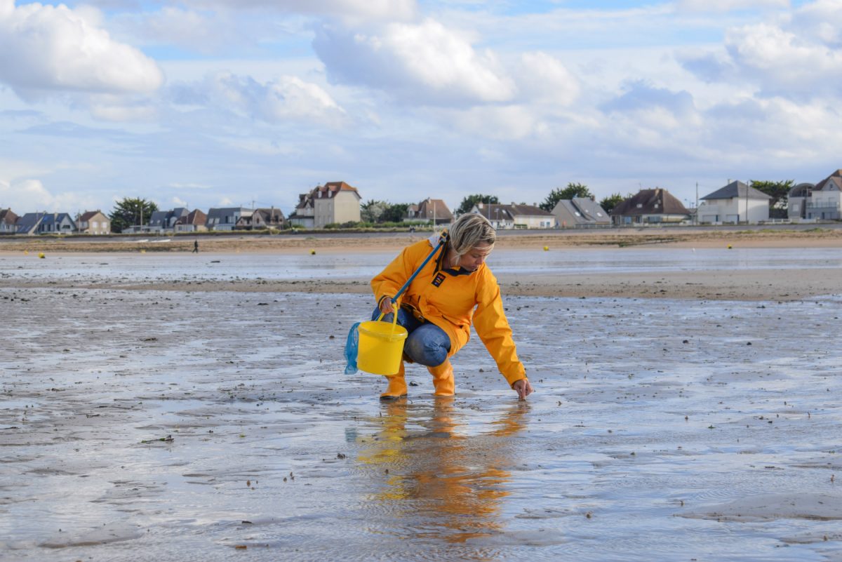 Sortie pêche à pied à Caen la mer