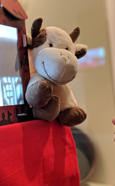 sheltered activities