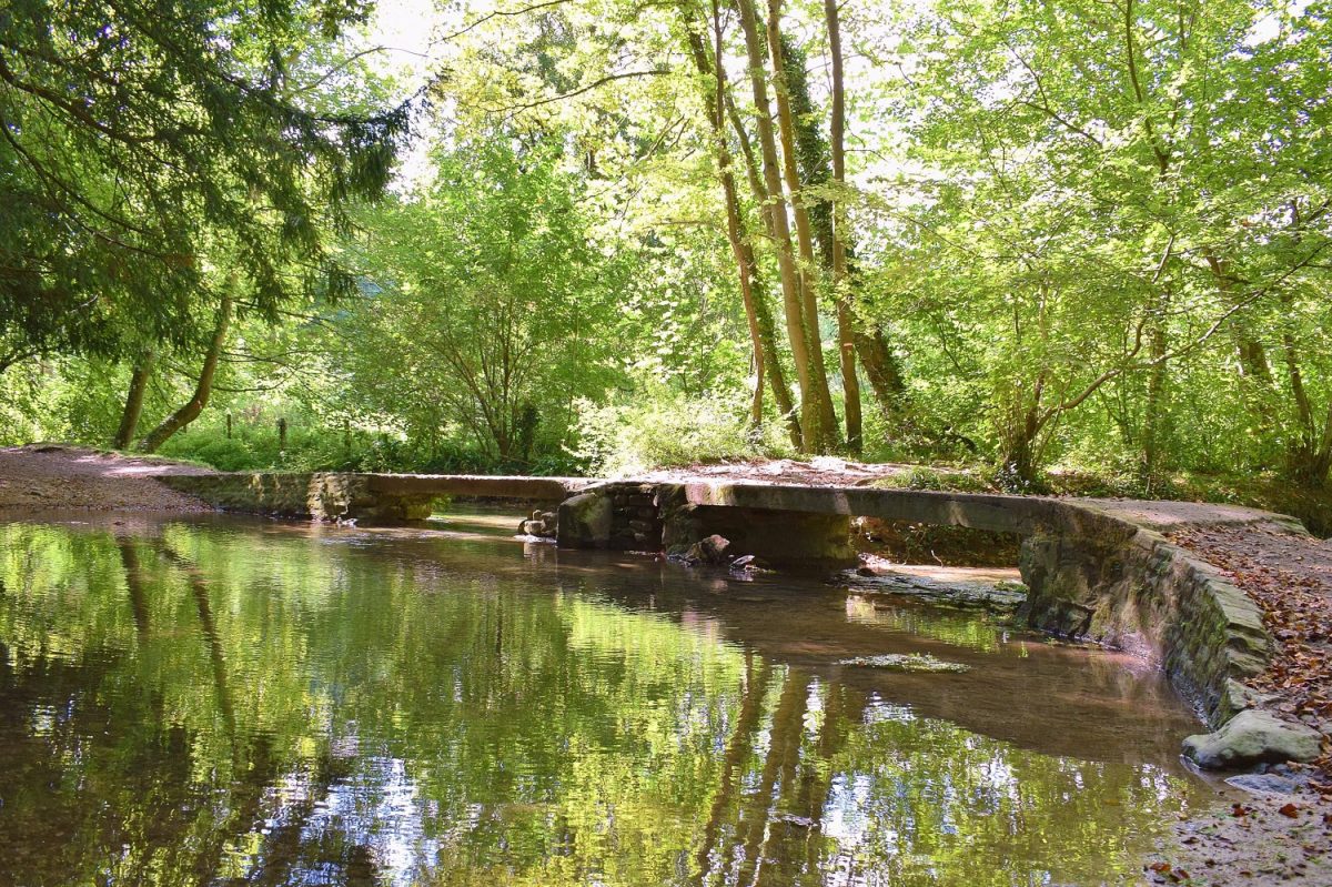 Pont sur la Mue, Caen la mer