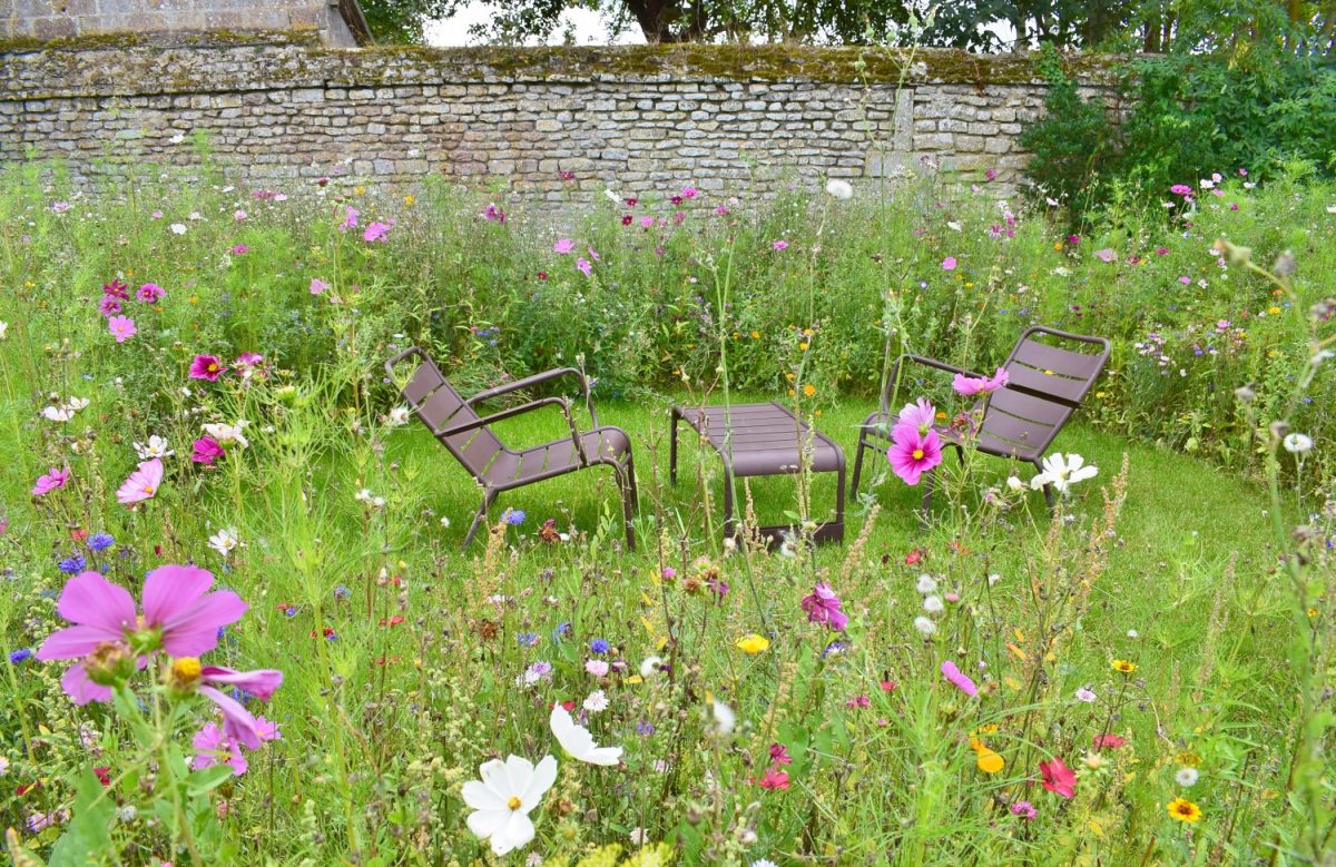 Jardin de l'Abbaye d'Ardenne IMEC