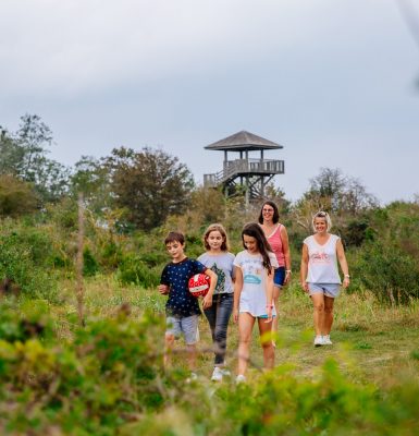 A nature outing to the Pointe du Siège in the Orne Estuary
