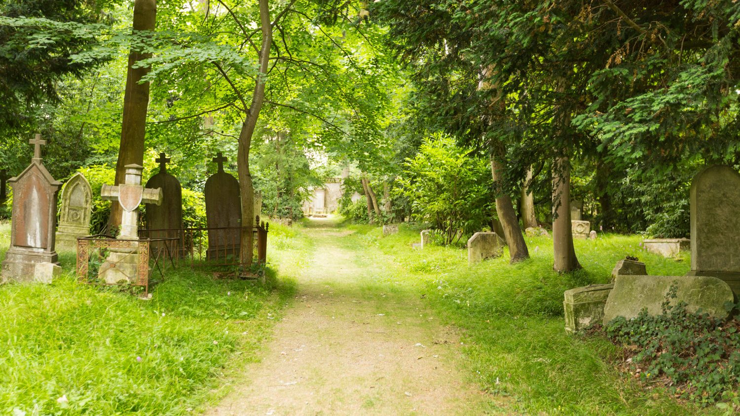 A Bucolic interlude in Caen’s dormant cemeteries