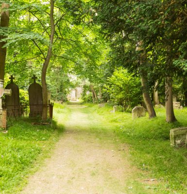 A Bucolic interlude in Caen’s dormant cemeteries