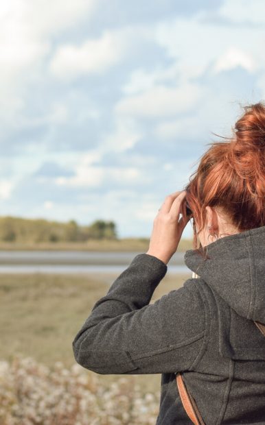 Seal watching in the Orne estuary