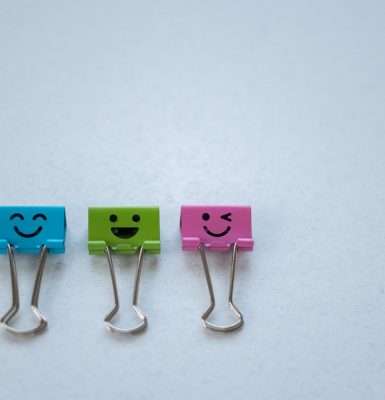 visitor Satisfaction survey