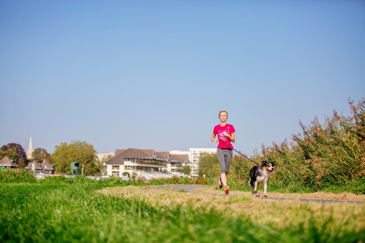 Running with your dog in the meadow