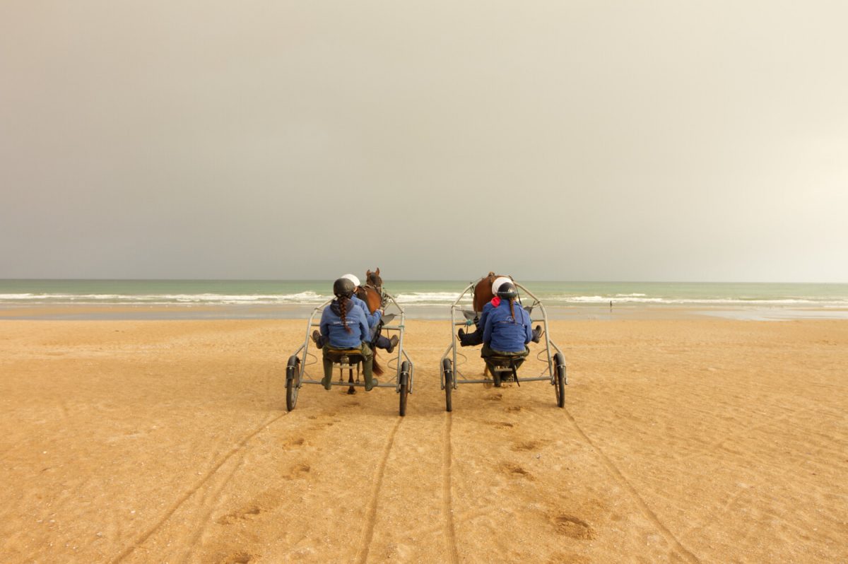 Sulky ride on the beach