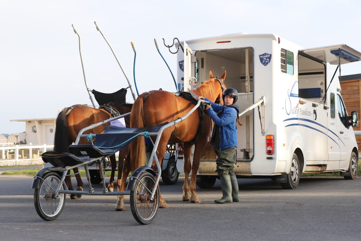Sulky ride on the beach