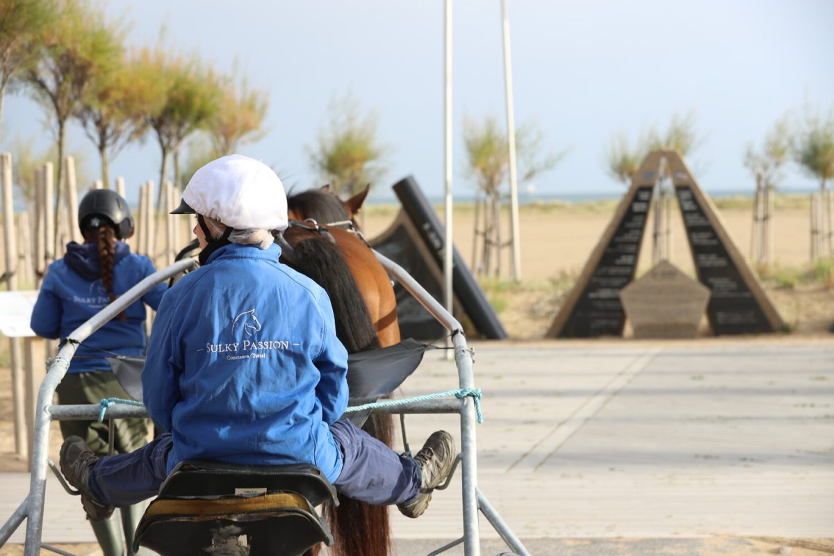 Sulky ride on the beach