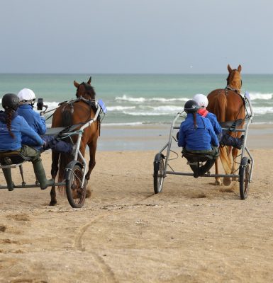 Sulky ride on the beach