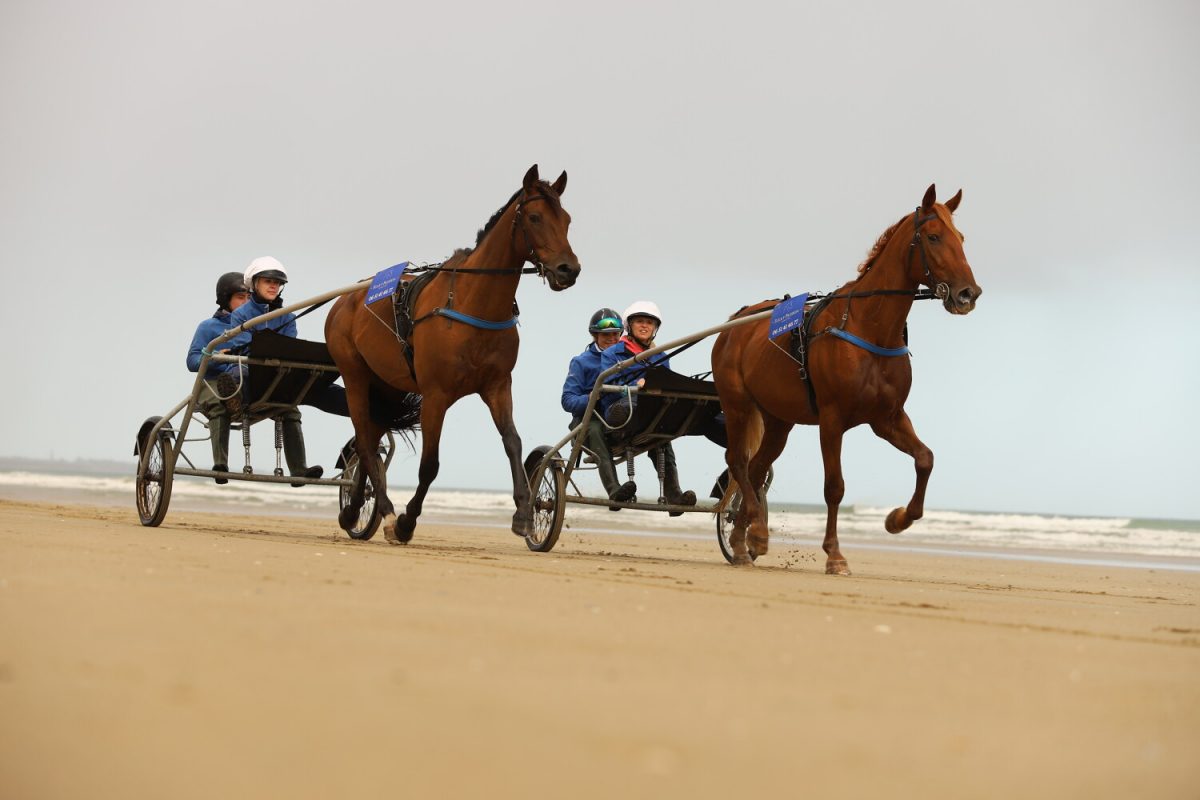 Sulky ride on the beach