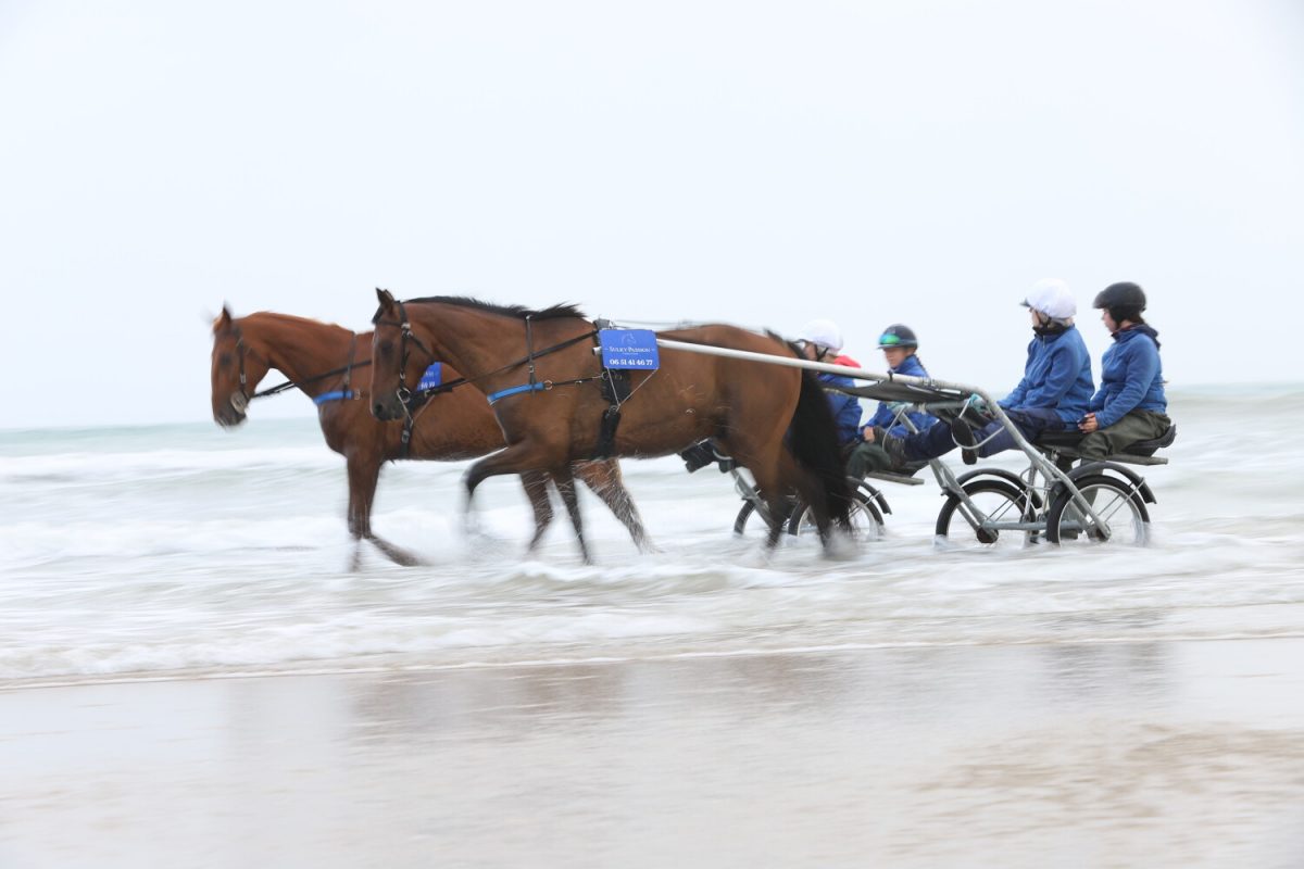 Sulky ride on the beach