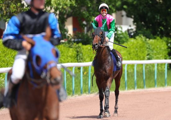 00272590-097-scoopdyga