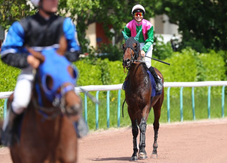 00272590-097-scoopdyga