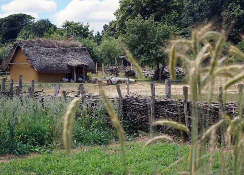 2017 ORNAVIK des Viking aux Normands (6)