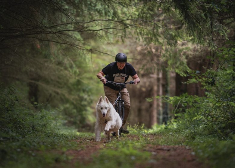 2022-Alexandra-Lefol-OTPV-4