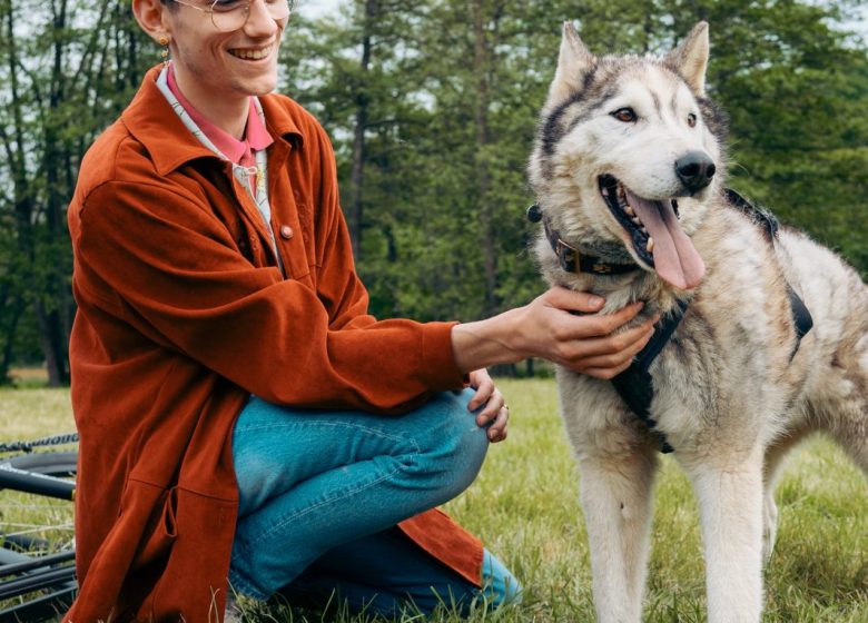 2023-Sacha-Soffer-Calvados-Attractivité-Will-to-Go (2)