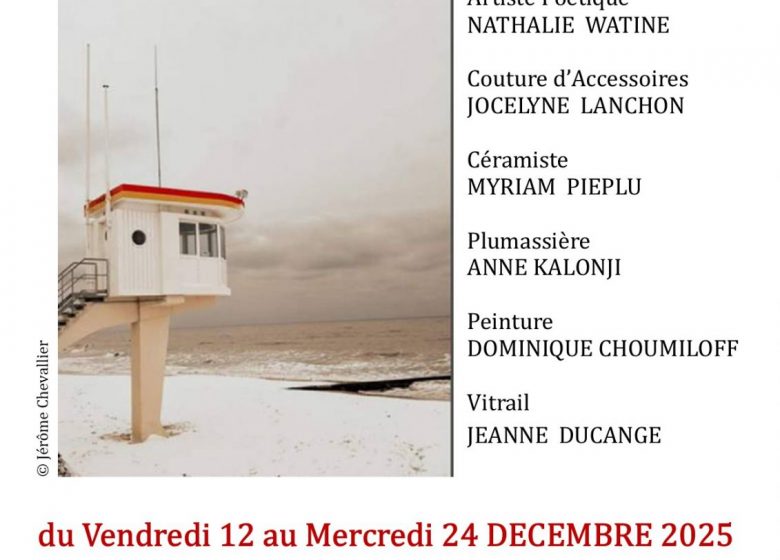 20251212-Cest-pas-loin-cest-a-Lion