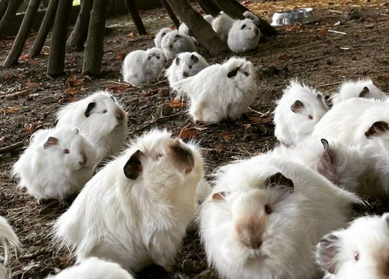 254578962_3247046695568812_5977244524202262051_n (Copier)