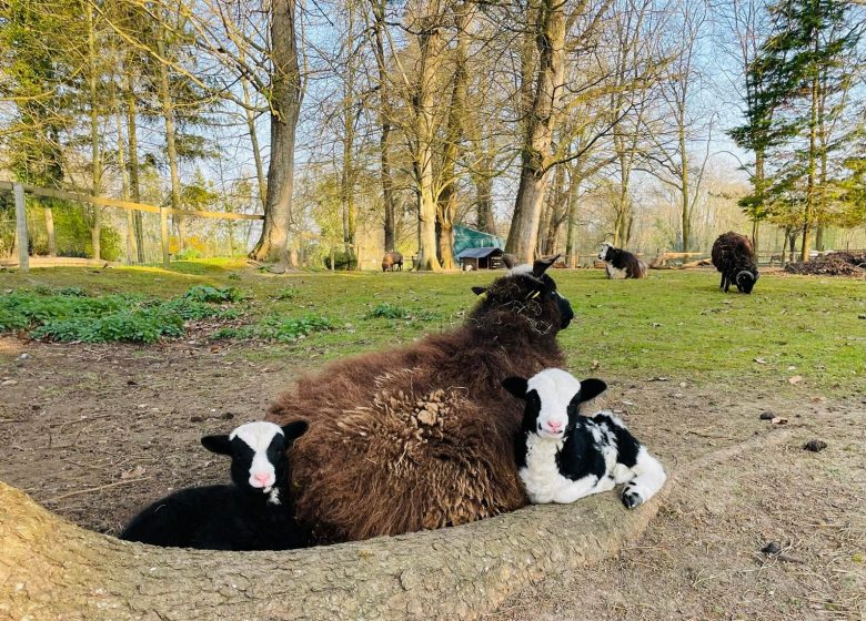 276992850_3350371221903025_6932693988738234252_n (Copier)