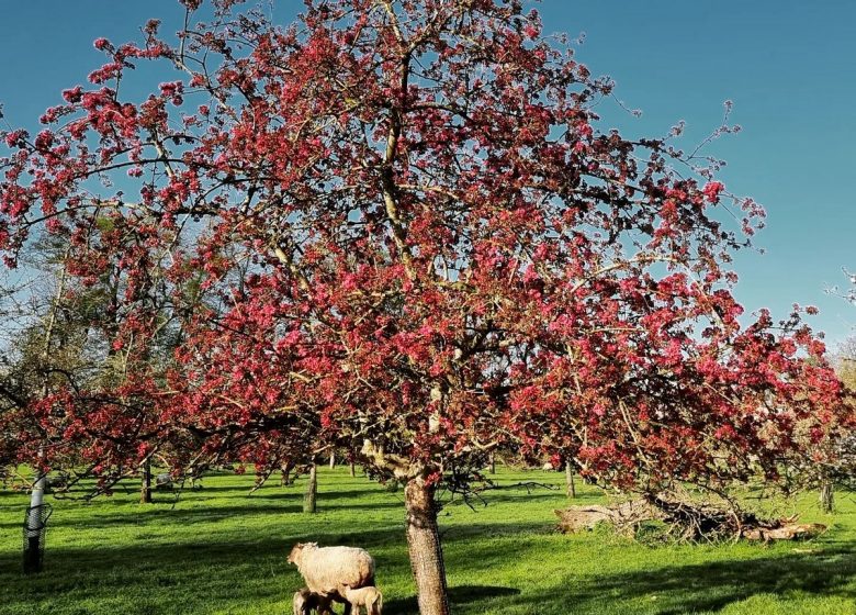 278583937_3365350497071764_1097091290094746659_n (Copier)