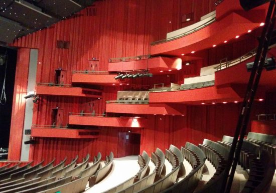 28 février théâtre Jean Rémy Théâtre 2015 (28)