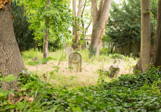 294087-Cimetiere-dormant-Saint-Pierre-a-Caen-Caen-la-mer-Tourisme—Pauline—Mehdi—Photographie-1200px