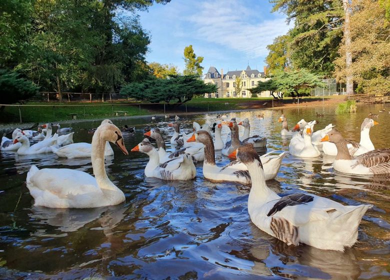 298253003_3459121231028023_5574708549631435524_n (Copier)