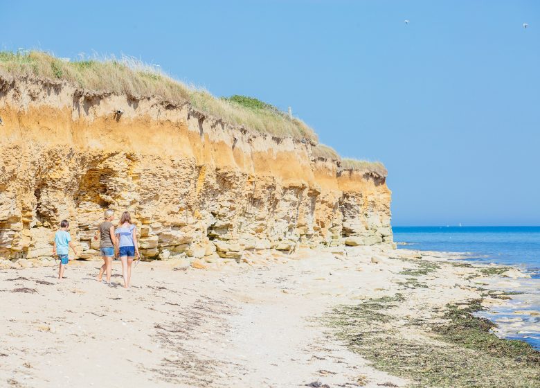 298408-La_falaise_des_Confessionnaux-Caen_la_mer_Tourisme___Les_Conteurs_(Droits_reserves_Office_de_Tourisme___des_Congres)