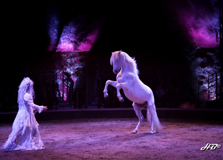 3086–® Herri Baron