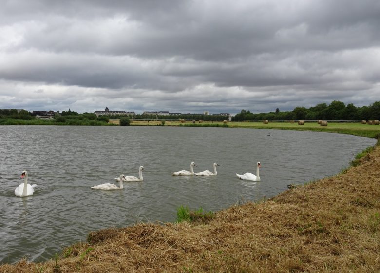 33530-La_Prairie-Jean-Christophe_LORIEUX___Ville_de_Caen-1500px