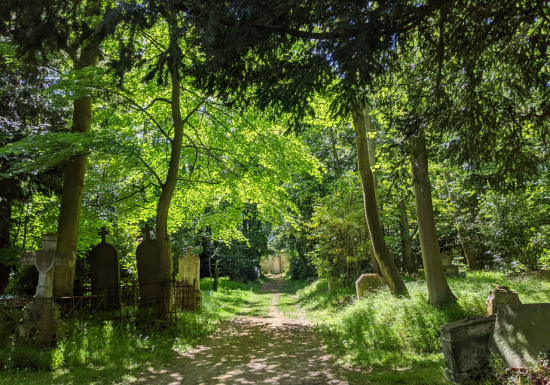 4 N. J. Rémy cimetières dormants 12 mai