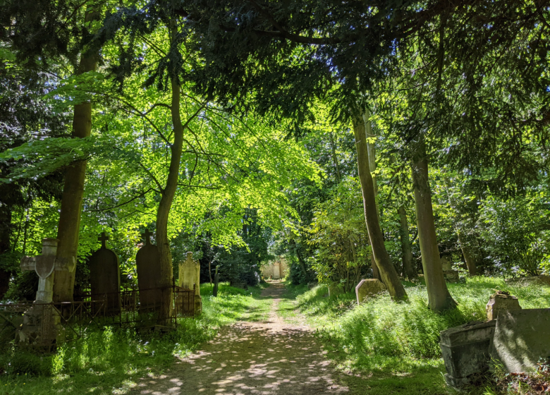 4 N. J. Rémy cimetières dormants 12 mai