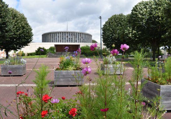 533290-Jardins_du_monde_-_Quartier_Grace-de-Dieu-Julie_URVOY___Ville_de_Caen
