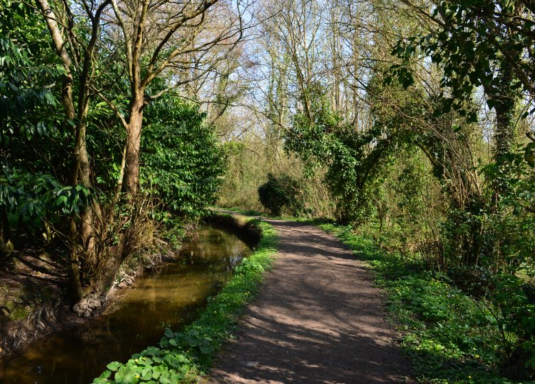 543844-Sentier_sous_le_chemin_des_Costils_Lambalard-Francois_DECAENS___Ville_de_Caen