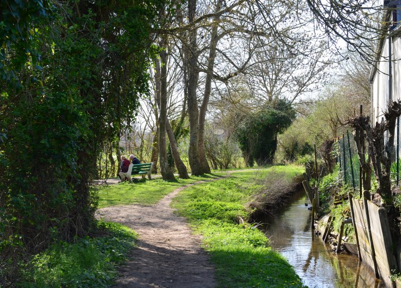 543858-Sentier_sous_le_chemin_des_Costils_Lambalard-Francois_DECAENS___Ville_de_Caen