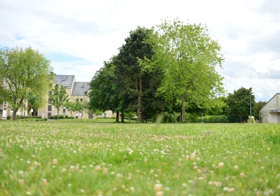 546566-La_Folie-Couvrechef-Francois_DECAENS___Ville_de_Caen