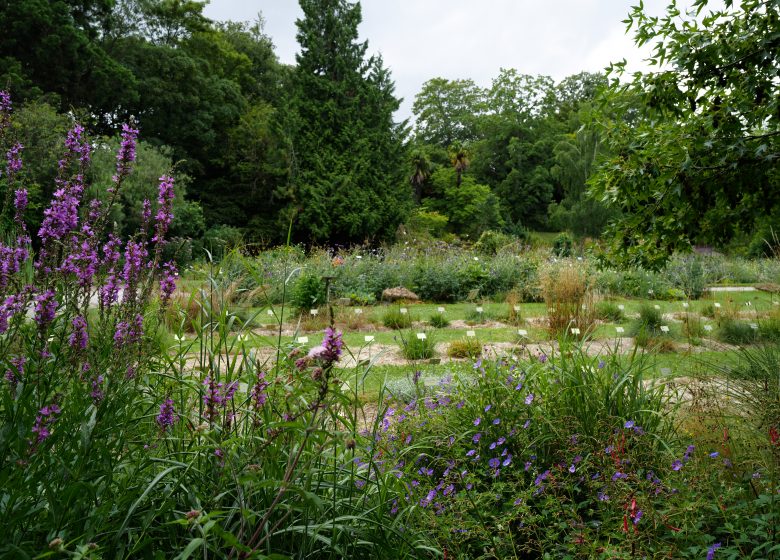 567634-Jardin_des_plantes-Francois_DECAENS___Ville_de_Caen