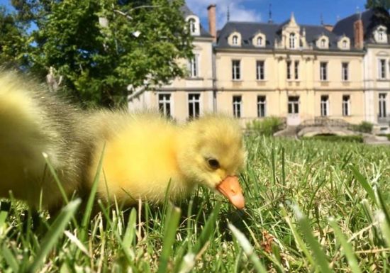 98081110_2782900241983462_8354733232159195136_n