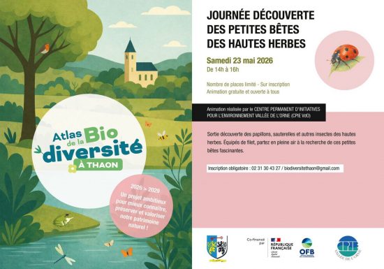 ABC-Thaon-Affiche-Animation-4-Ecran