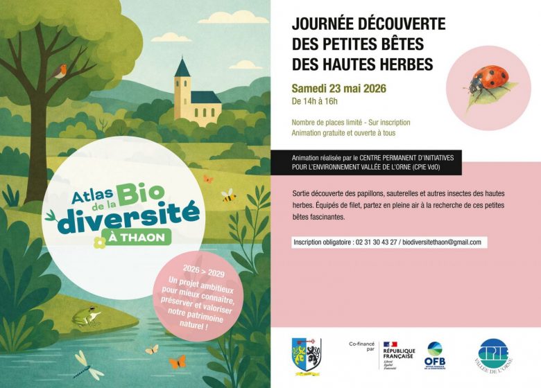 ABC-Thaon-Affiche-Animation-4-Ecran