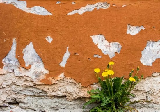 ATRE-Sauvages-de-ma-rue-nikola-johnny-mirkovic-1500×7501-2