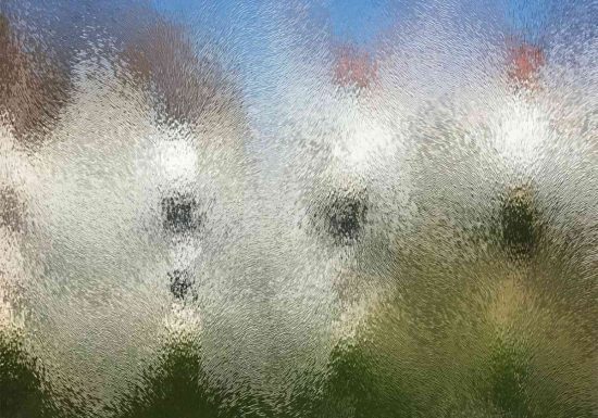 Adrien Lefebvre, Grume, Jonquilles et Résidus (détail), 2025